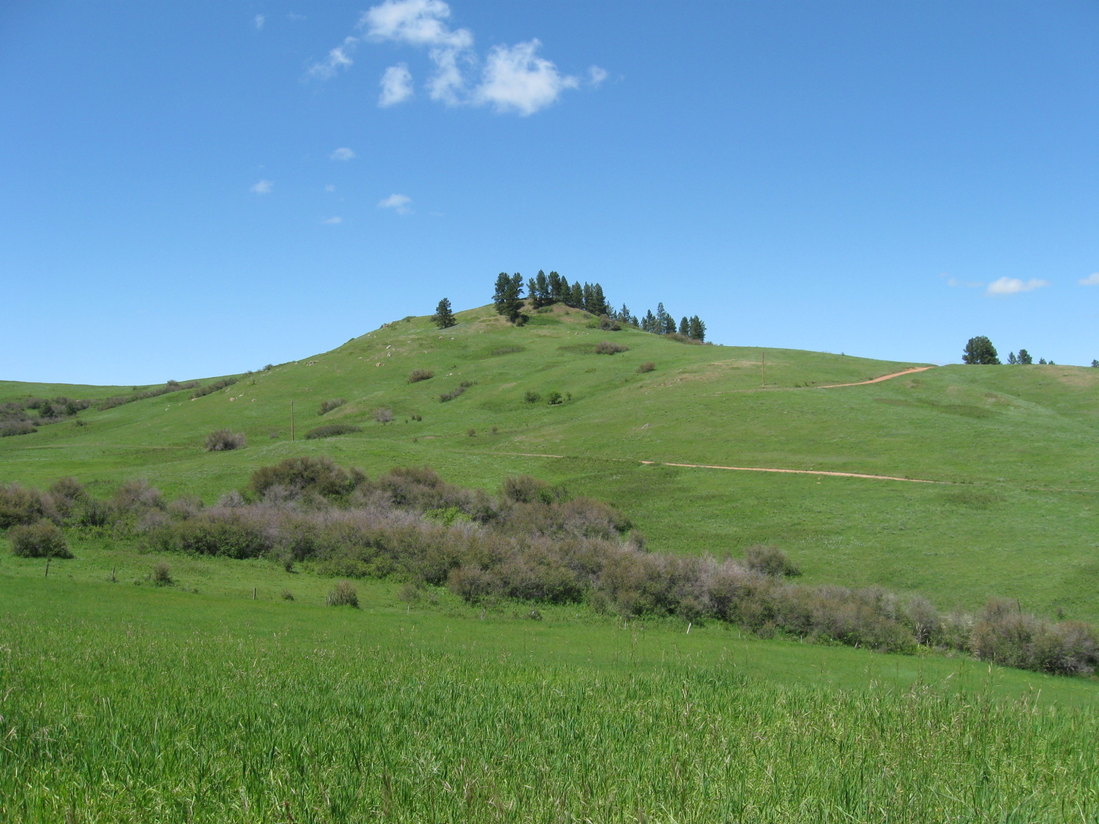 Wolf Mountain Montana