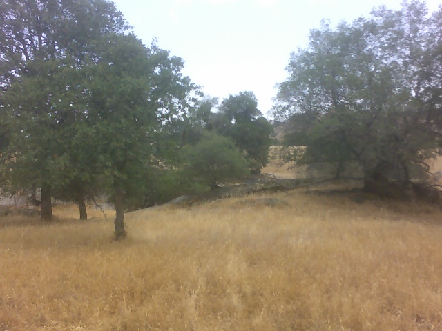 North