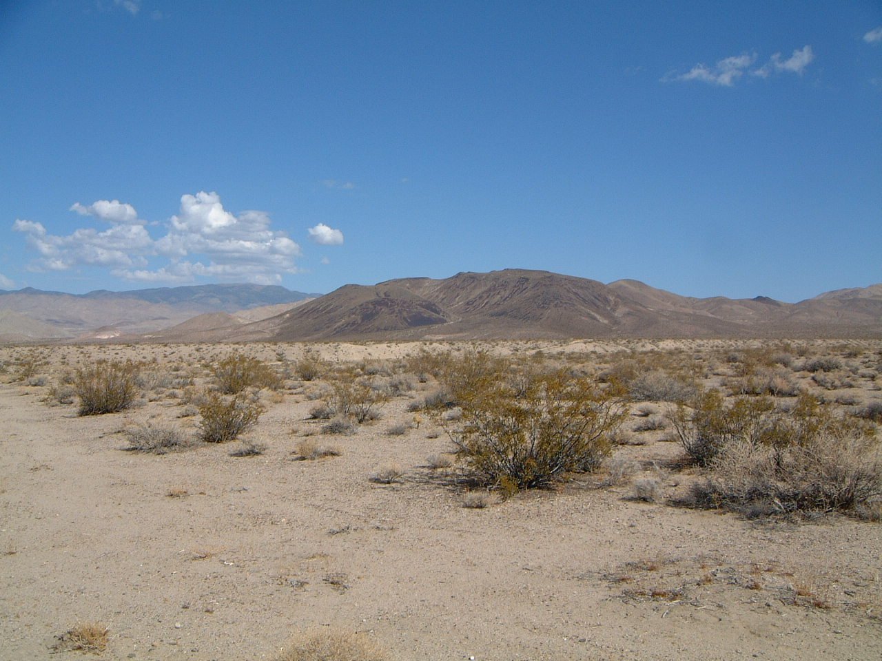 Oriental Wash Nevada